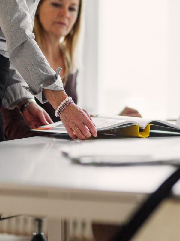 Businesswomen with file on desk in office